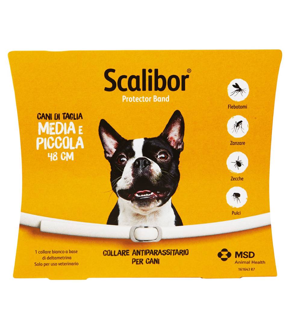 MSD - Scalibor - Cane piccolo/medio