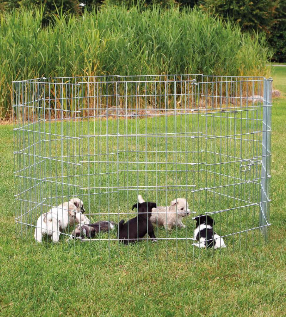 Trixie - Recinto per Cuccioli