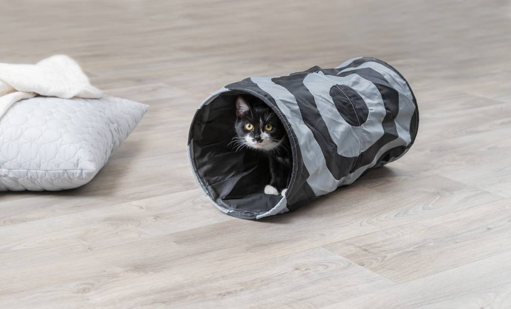 Trixie - Tunnel Gioco 