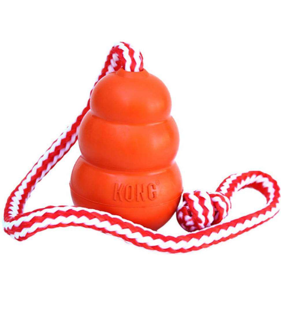 Kong - Aqua - M