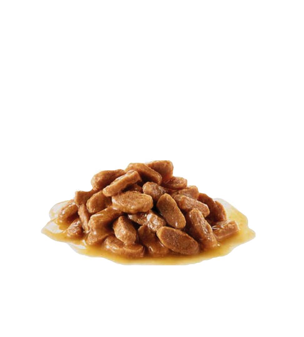 Royal Canin - Size Health Nutrition - Mini Adult - 85gr