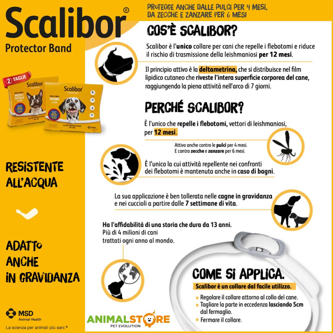 MSD - Scalibor - Cane grande