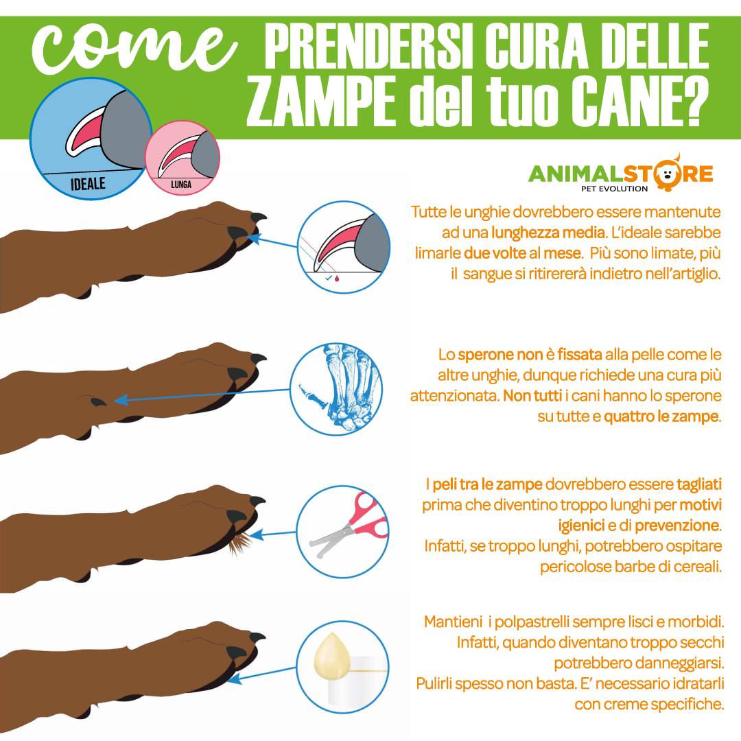 ICF - WinterPad - Pomata - 50ml