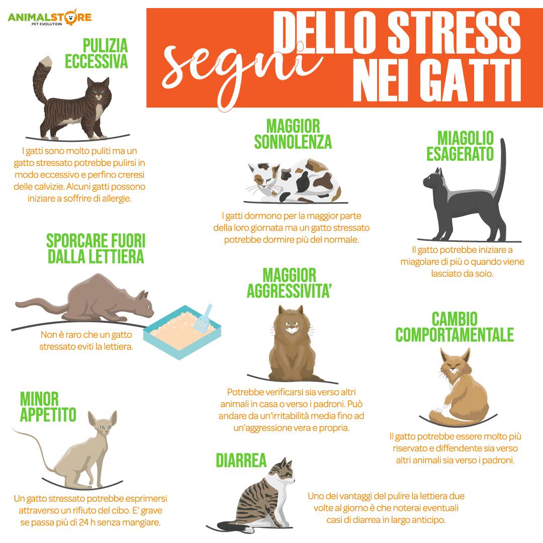Ceva - Feliway Friends - Starter Kit (Diffusore + Ricarica)