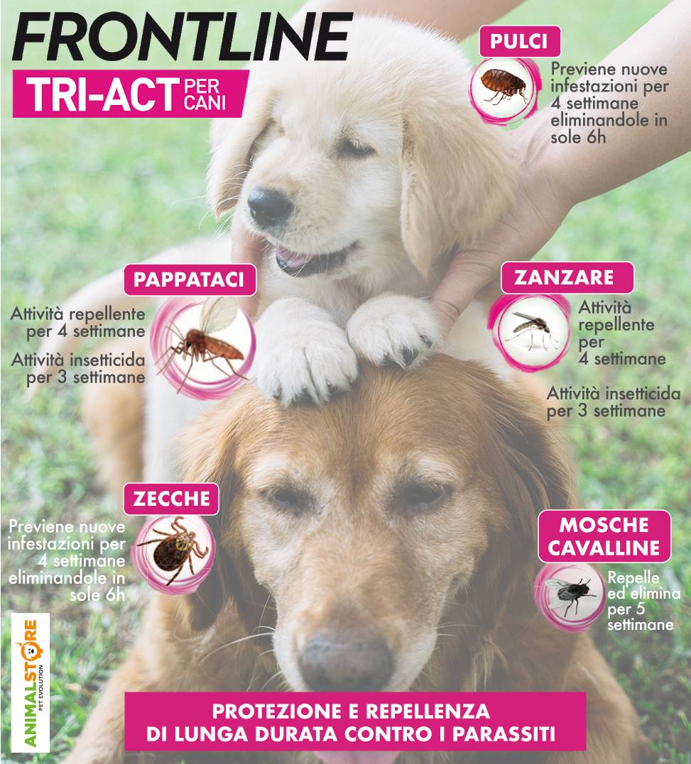 Frontline - TriAct - Da 2 a 5 kg - 3 pipette 
