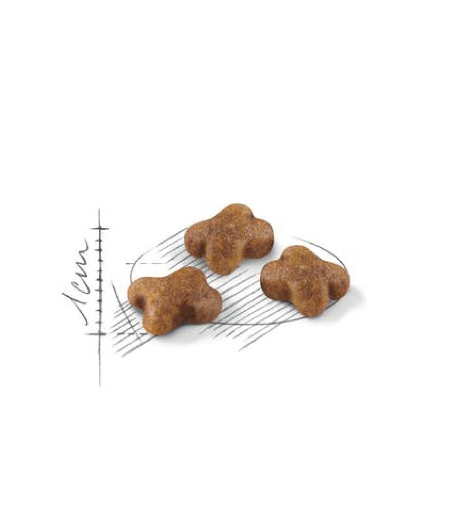 Royal Canin - Feline Health Nutrition - Kitten - 2kg