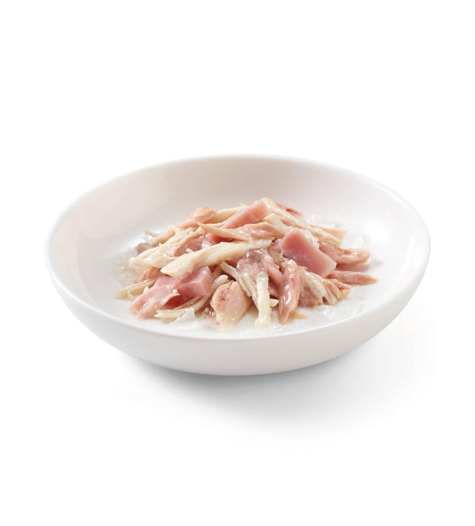 Schesir Cat - Completo - In Gelatina - Adult - 85gr