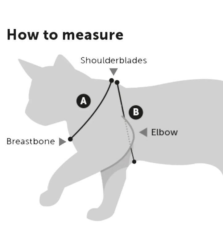 Flamingo - Pettorina Gatto Alfry - L