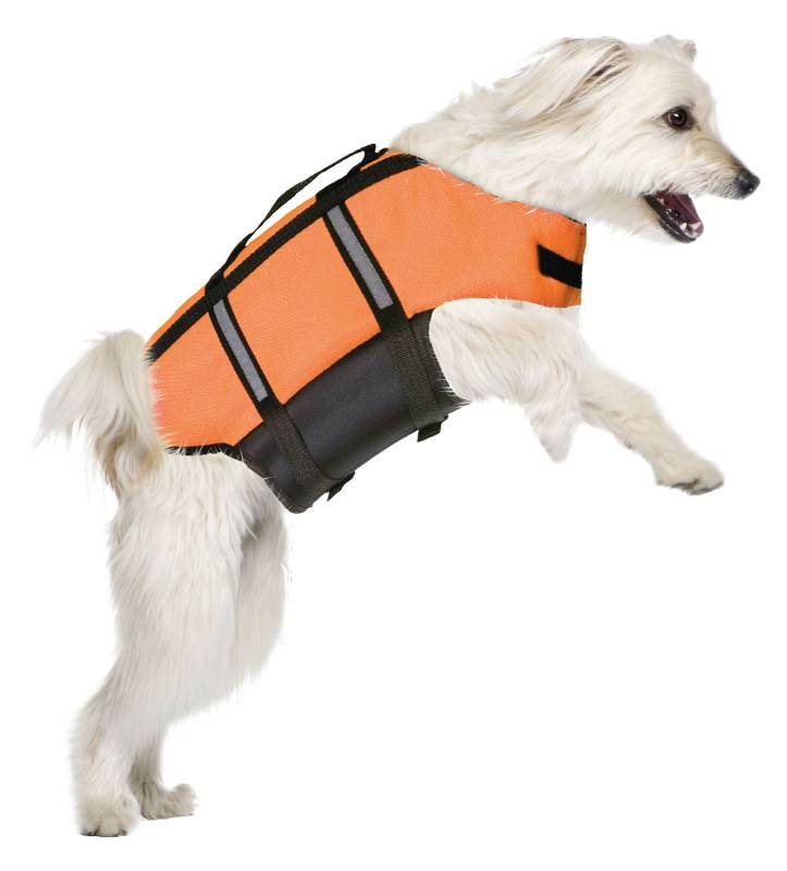 Flamingo - Salvagente per Cani - XS