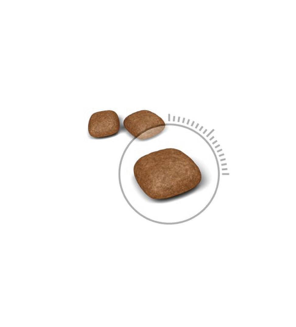 Royal Canin - Feline Care Nutrition - Urinary - 4kg