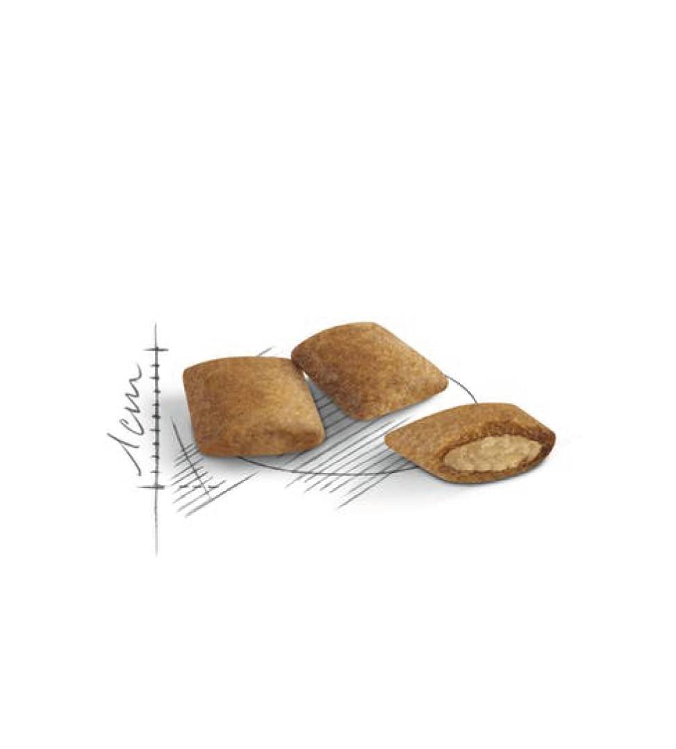 Royal Canin - Feline Health Nutrition - Ageing 12+ - 4kg