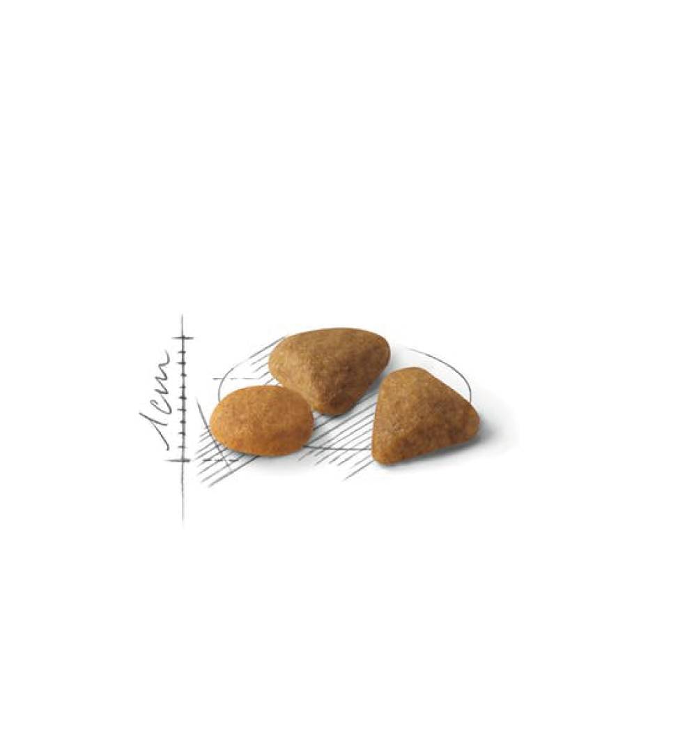 Royal Canin - Feline Health Nutrition - Savour Exigent - 4kg
